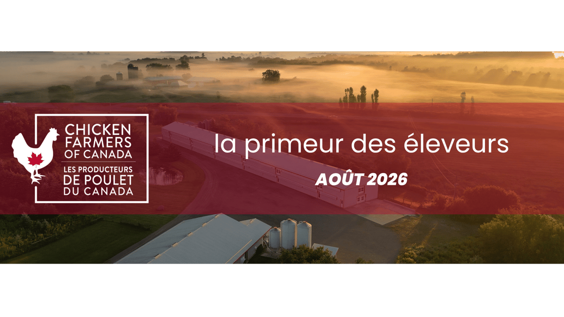 Directors Update_Template (3)