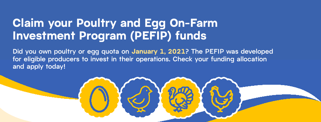 PEFIP_E